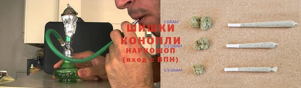 молекула духа Волоколамск
