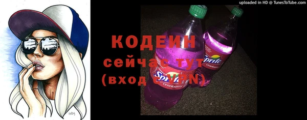 молекула духа Волоколамск