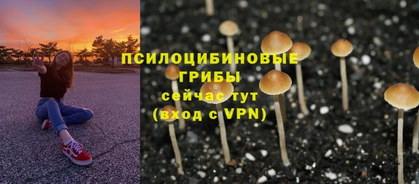 твердый Волосово