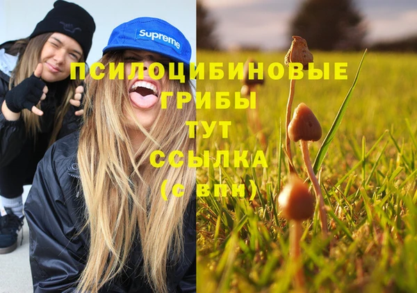 молекула духа Волоколамск