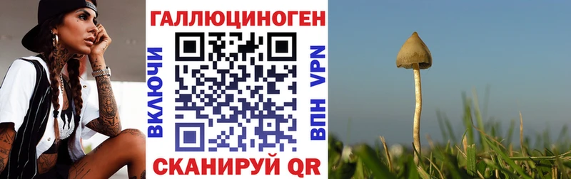 Псилоцибиновые грибы мицелий  Самара 
